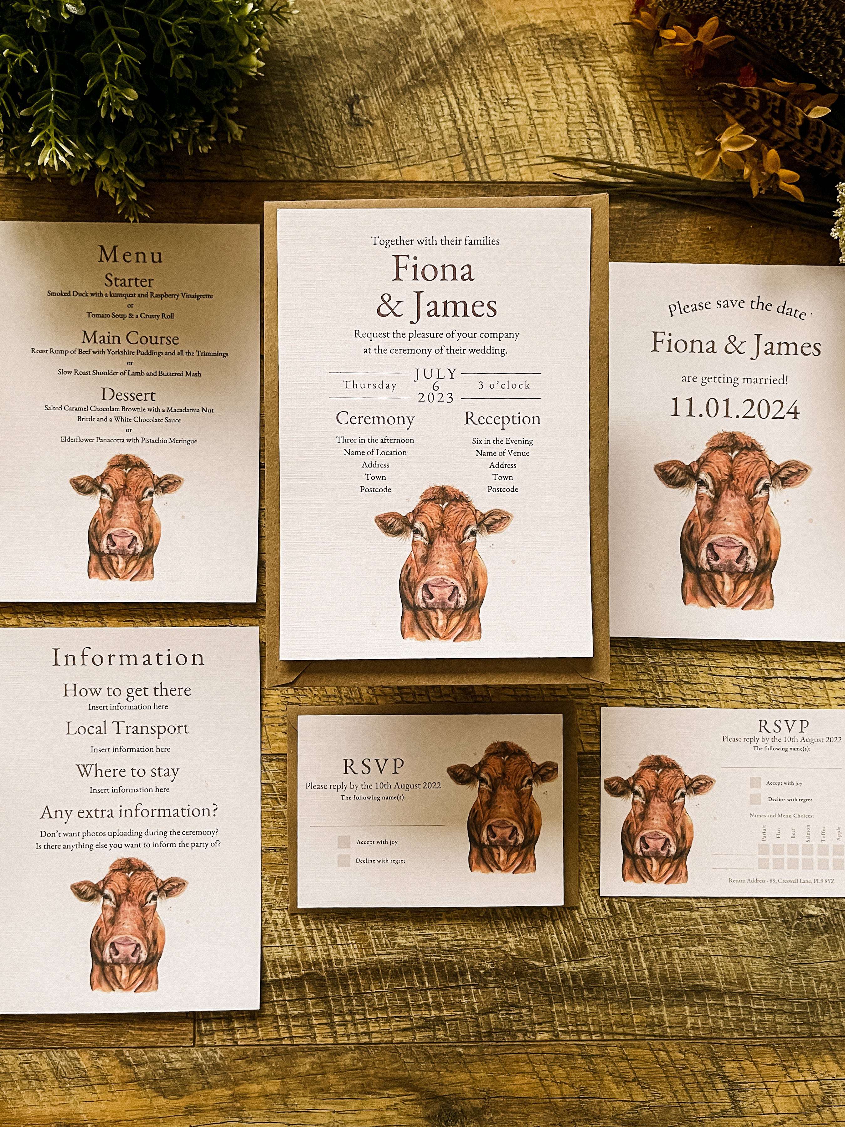 Limousin Cattle/Cow- Full Range