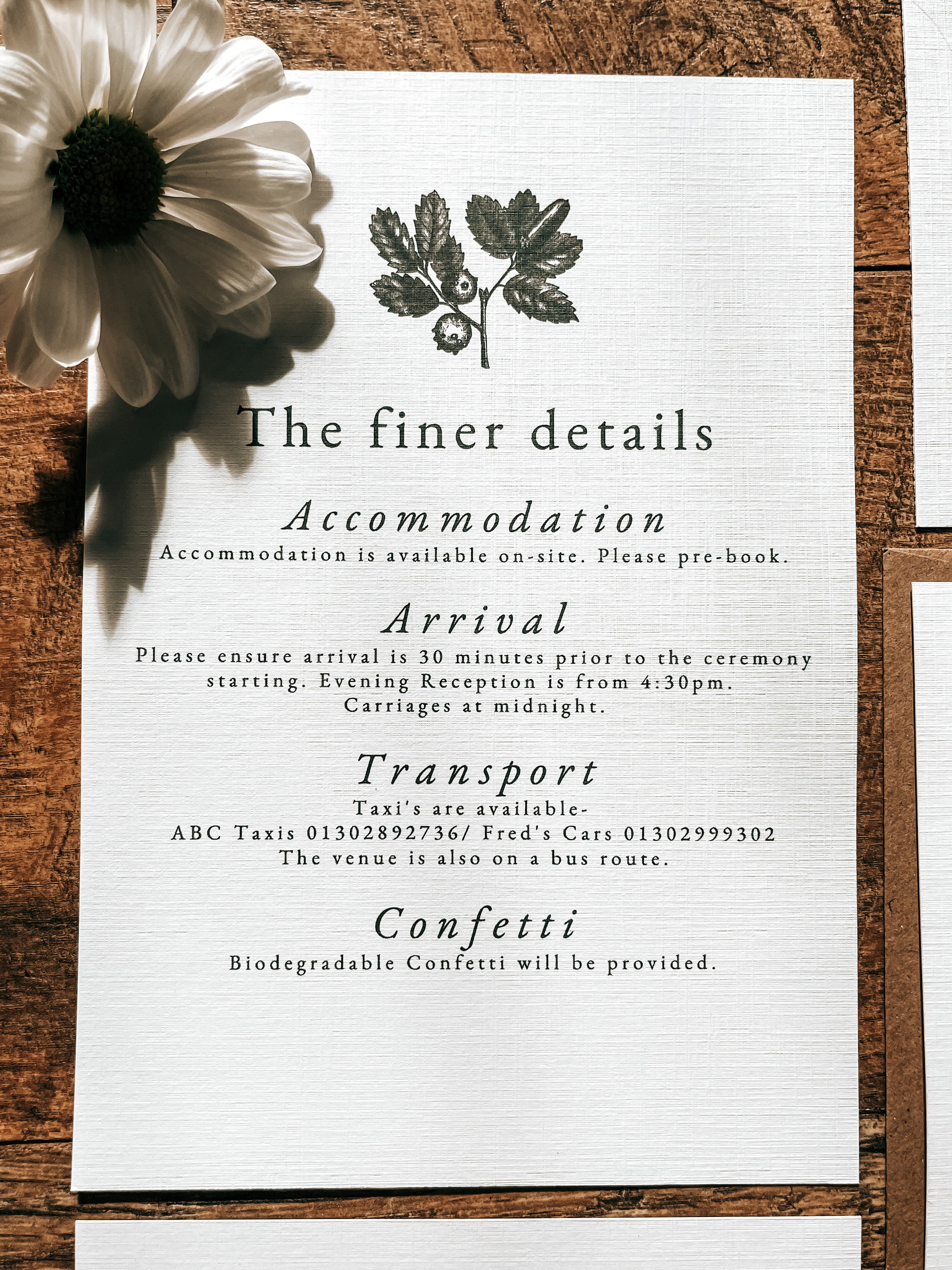 Minimalistic Acorn - Full Range