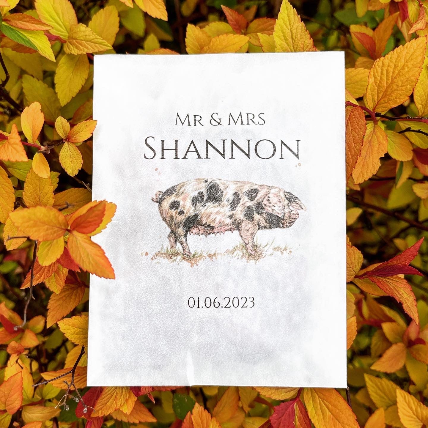 Printed Confetti Pouches - Empty