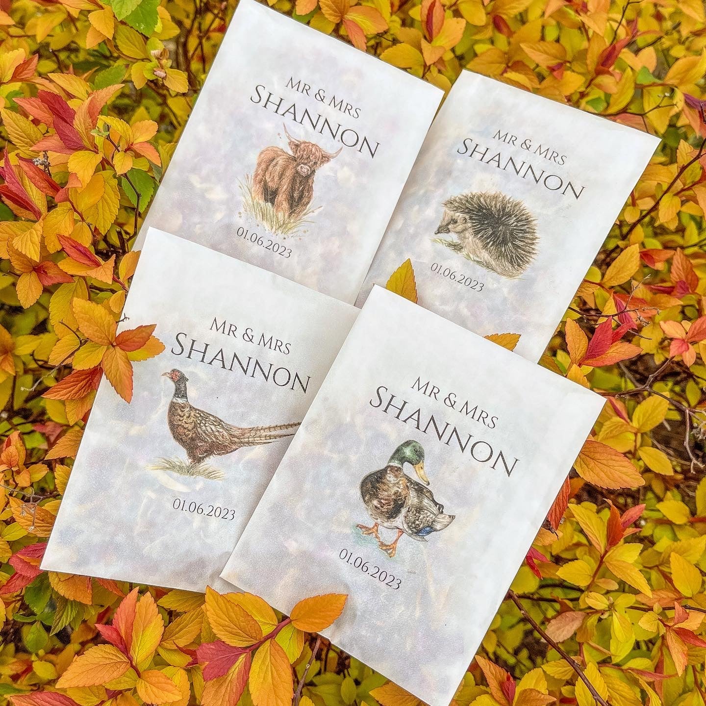 Printed Confetti Pouches - Empty