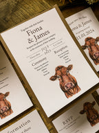 Limousin Cattle/Cow- Full Range