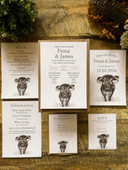 Longhorn Cow - Full Range