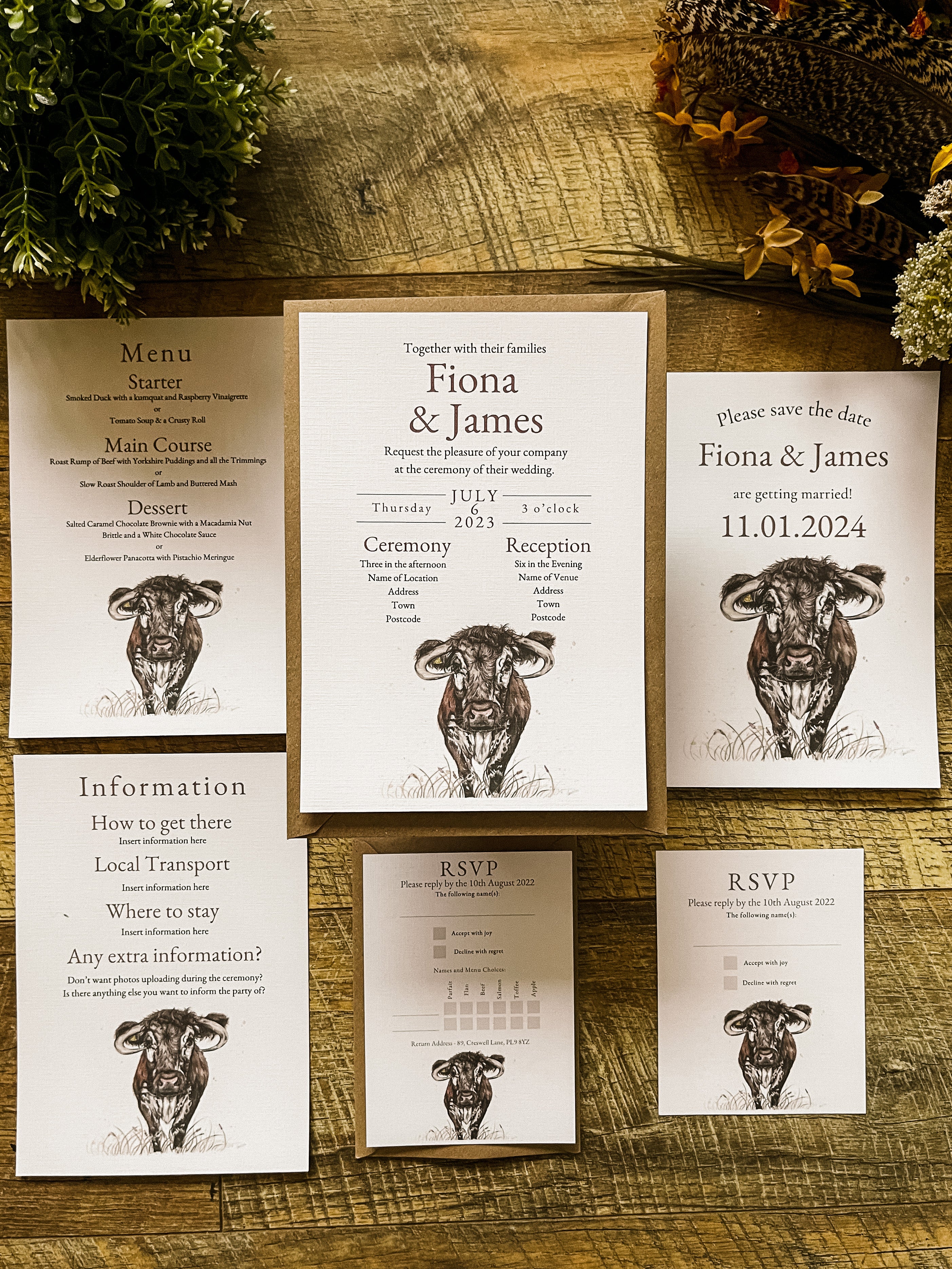 Longhorn Cow - Full Range