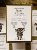 Longhorn Cow - Full Range