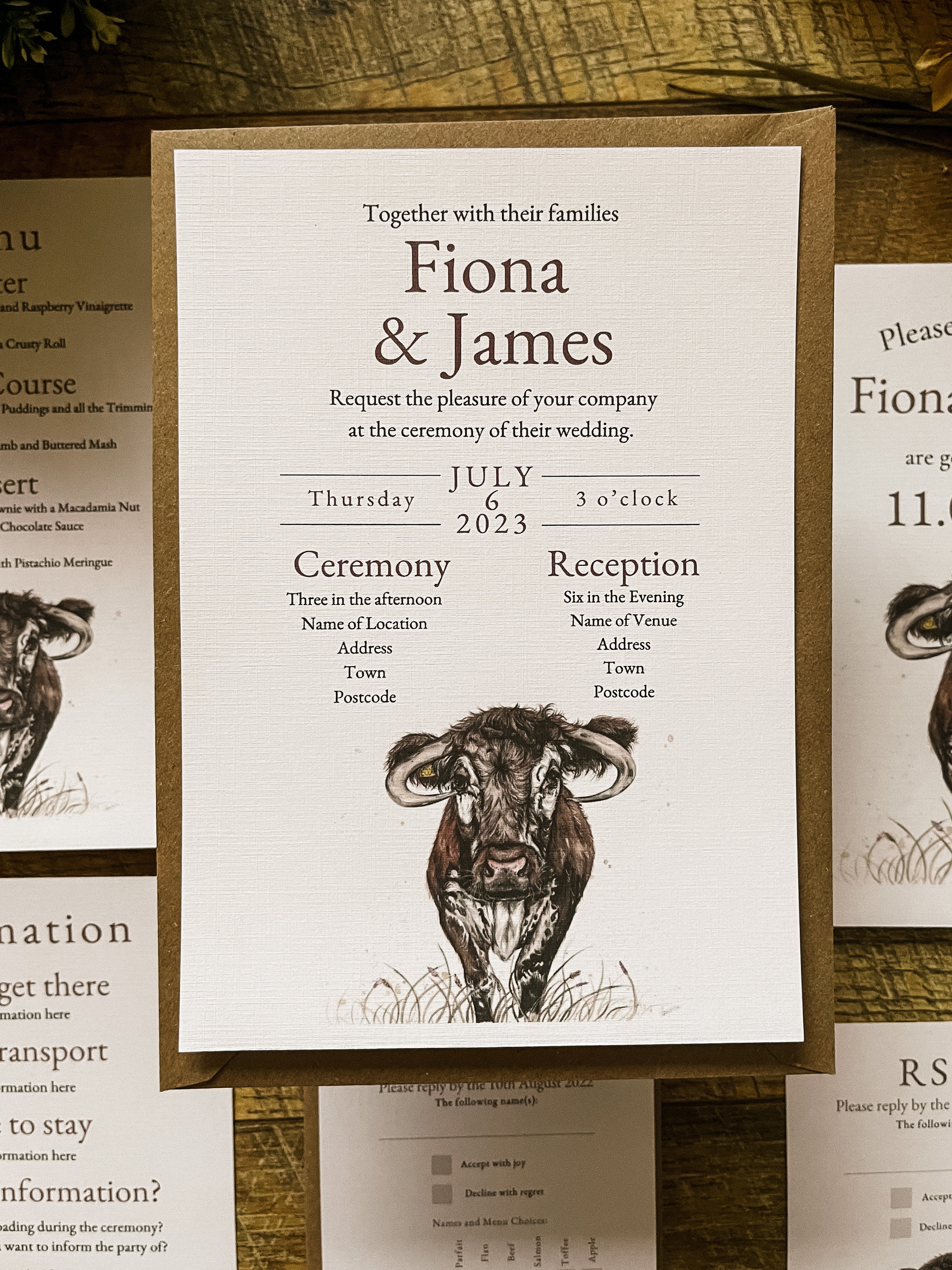 Longhorn Cow - Full Range