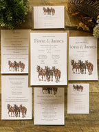 Shire Horses - Full Range